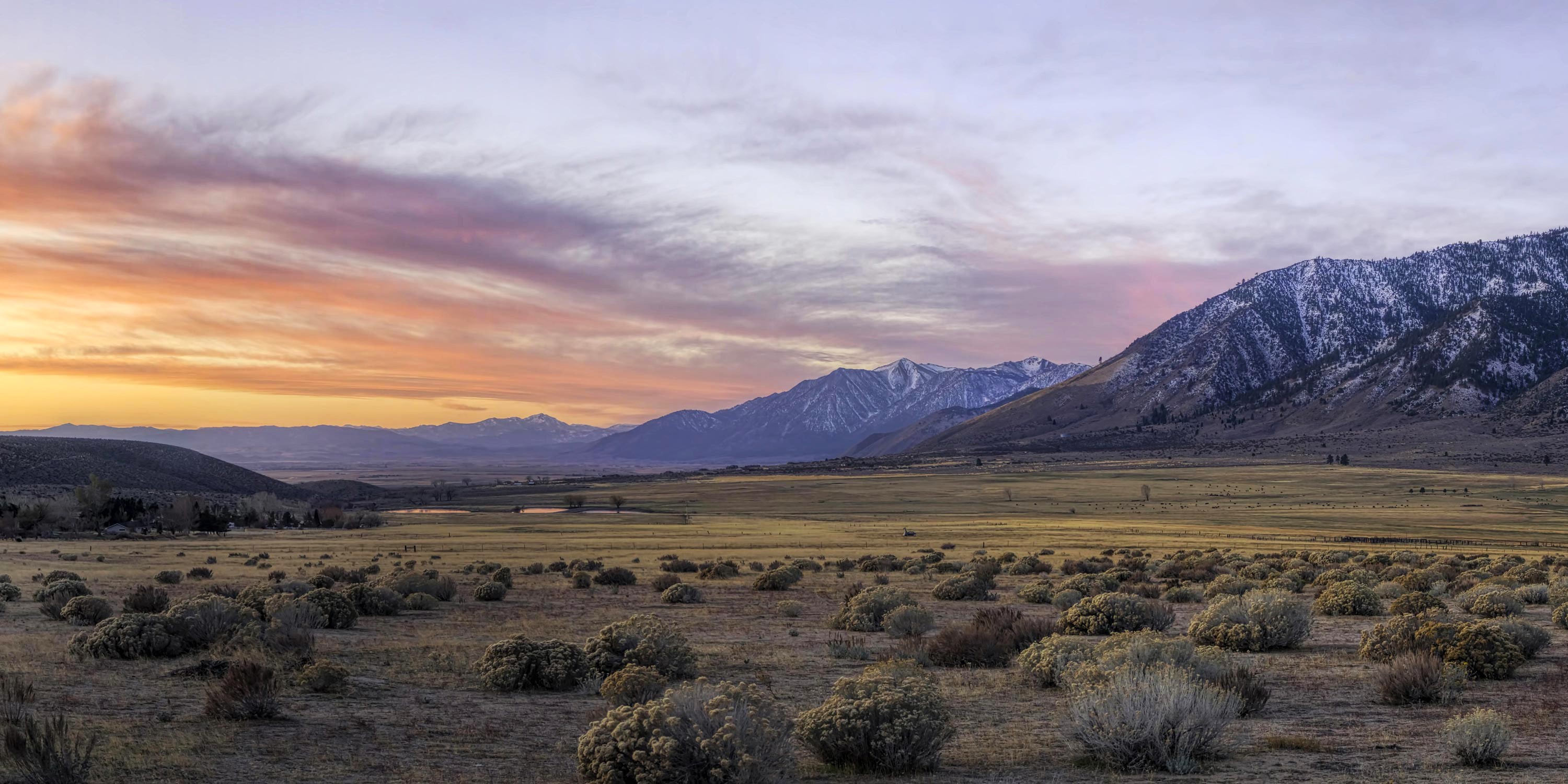 High‑desert home: calm light and durable materials