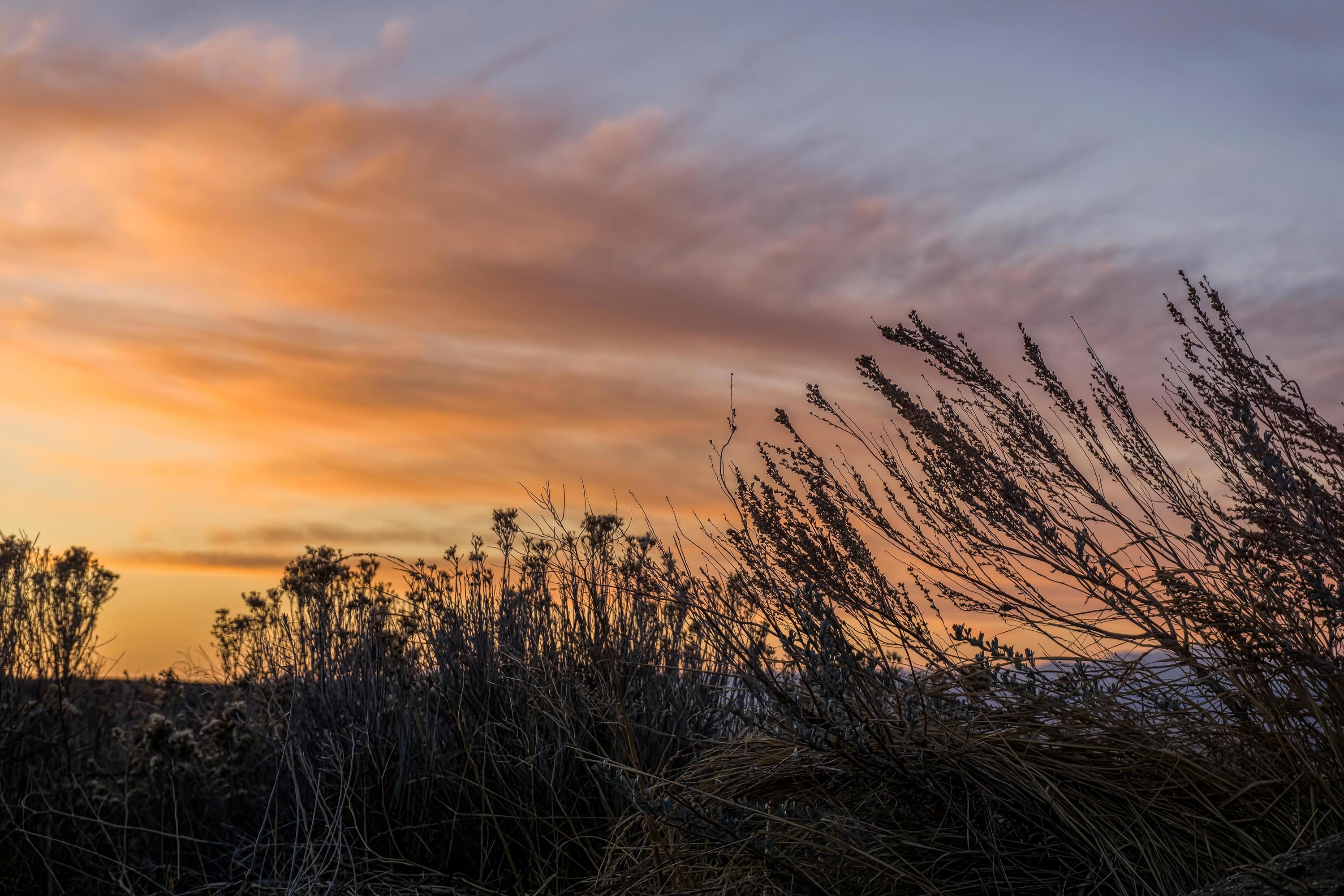 Sierra Nevada Foothills