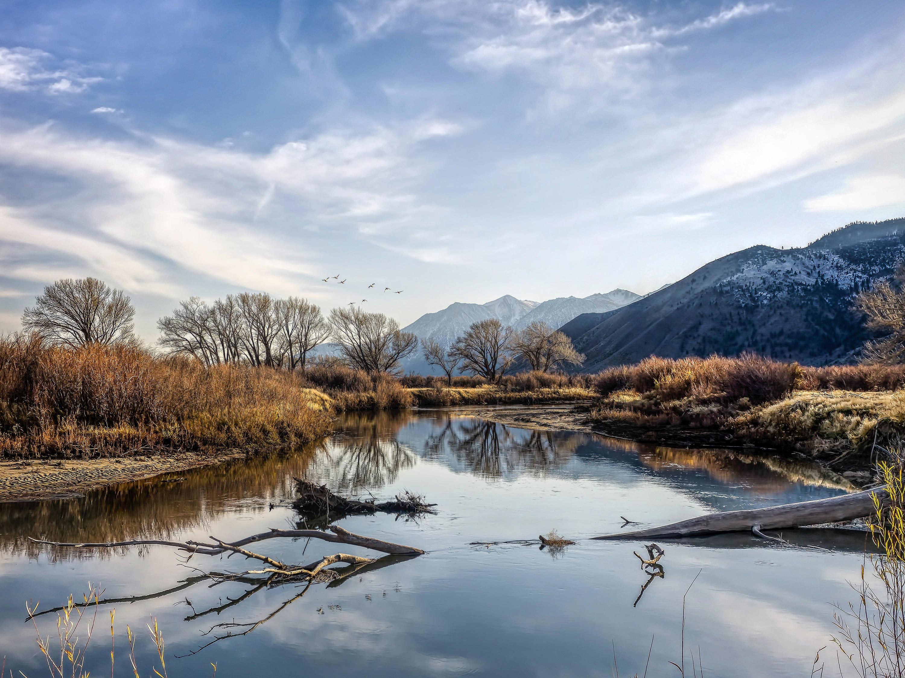 Bristlecone Architecture